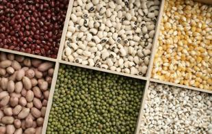 鄭州干果及農(nóng)副產(chǎn)品批發(fā)市場指南——世界工廠網(wǎng)助您精準(zhǔn)對(duì)接