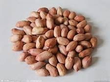 食物營養(yǎng)冠軍榜——干果 小小的能量庫，大大的健康寶